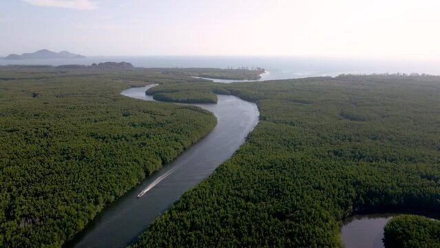 Aerial drone shot of amazing fertile mangrove tree area with cutting-through canel and fishermans' village in Trang, southern part of Thailand