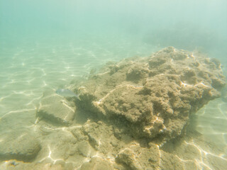 Seabed in shells on the rocks.