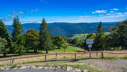 View The Feldberg The Black
