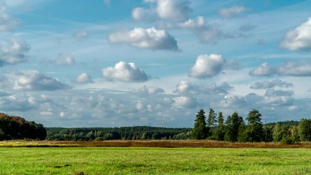 Forests, fields and meadows of Podlasie.