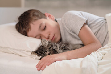 kitten sleeping in the background of a child. Kids and pets. little asian boy with kitten sweetly sleep in bed. Child and cat. Little kid with his animal. Toddler and kitty sleep.