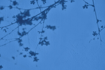 Shadow of leaves on pastel blue concrete wall texture with roughness and irregularities. Abstract trendy colored nature concept background. Copy space for text overlay, poster mockup flat lay 