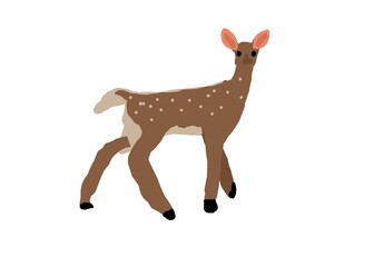 reindeer on white