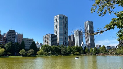 Moss green swamp in Ikebukuro Tokyo with city skyscrapers, year 2022 summer
