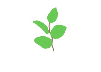 young green plant
