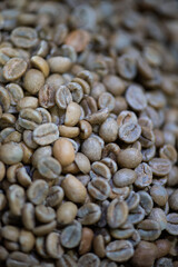 specialty coffee roasted
