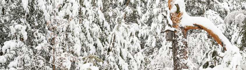 Birdhouse on a pine tree covered with snow. View of the snowy winter forest. Close-up, banner.