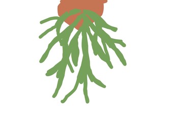 illustration of a bunch of carrots