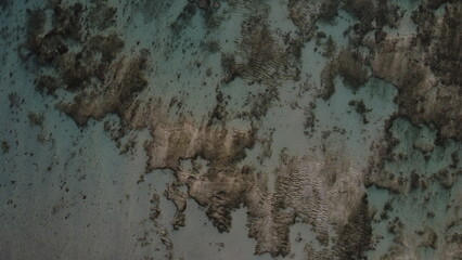 reef texture
