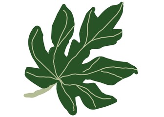 leaves isolated on white background