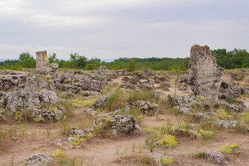 Fototapeta na wymiar Pobitite Kamuni. Rocks in the Stone Forest in Bulgaria. Popular place in the Balkans.