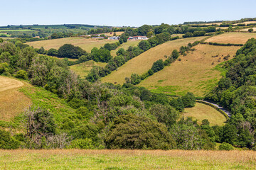 A view in Exmoor National Park towards South Huckham from Coppleham near Winsford, Somerset UK - Note the dead trees in the valley due to Ash Die Back