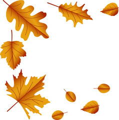 Autumn leaf cutout.