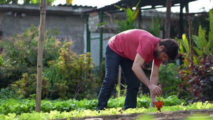 Young urban farmer taking care of soil at local small community farm. Person growing organic food