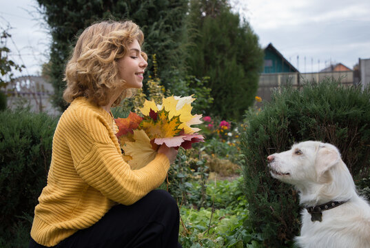 Portrait of a beautiful teenage girl in profile, with bouquet of autumn leaves, playing with white dog. beloved pet on an autumn walk. The joy of communicating with a four-legged friend
