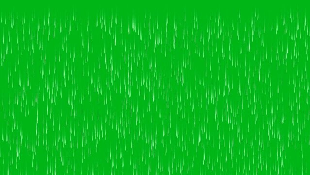Rain fall motion graphics green screen background. 