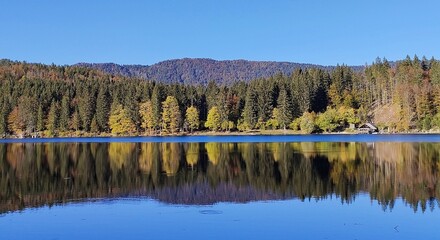 Reflections of forest in alpine lake in autumn in Julian Alps, Italy