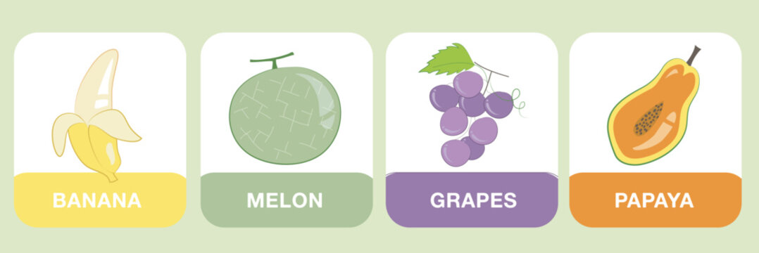 Tropical fruits Flashcards for Children. Cute flashcards for children. Ready to print. Printable game cards. Educational cards for preschool. Vector illustration.