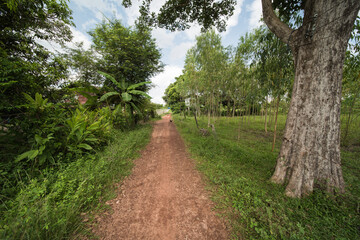 Fototapeta premium typical small village in isaan thailand, in udon thani province.