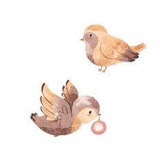 Watercolor bird illustration for kids