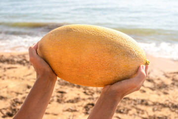 Ripe yellow melon in the hands of a girl on the background of the sea.