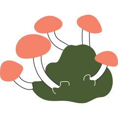 Vector autumn mushroom. Isolated illustration on transparent background