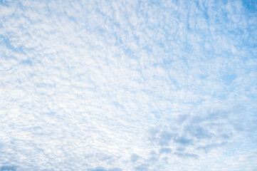 一面の細かいうろこ雲