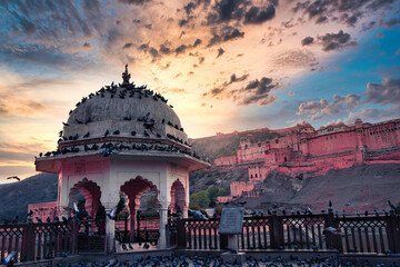 Feeding Birds At Amer Fort In Jaipur, Rajasthan, India