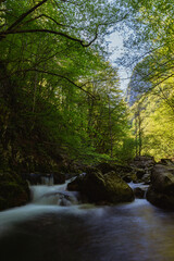The forest, nature and waterfalls of the taleggio valley, during a spring day, near the town of...