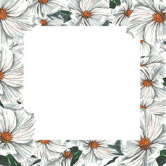 Watercolor branch with a frame of daisies. design. Greeting card border. Hand painted illustration isolated on white background