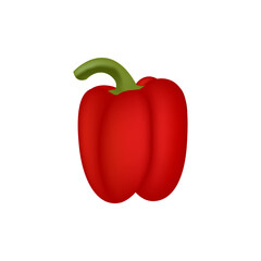Red sweet pepper. Vector illustration isolated on white background.