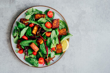 Top view healthy salad with roasted tempeh, cherry tomato, beetroot straws, spinash and lettuce leaves on plate. Tempeh is fermented soy bean. Plant based protein. Healthy Cooking and eating. Go vegan