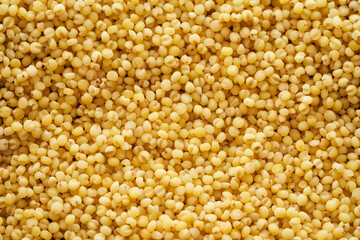 sorghum or sorghum grain, millet grain or millet seed texture background                                                 