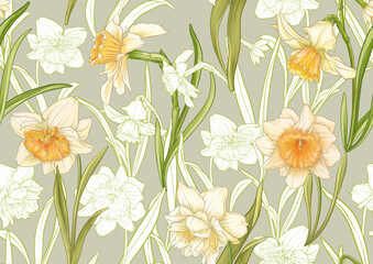 White daffodils and tulips flowers, the early spring flowers. Seamless pattern, background. Vector illustration. In botanical style