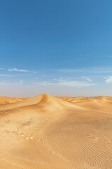 Fototapeta na wymiar A vertical desert vista featuring a spacious blue sky, ideal for presentations with copy space for text, titles or other graphic element