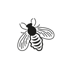 Fly icon. White background. Vector illustration