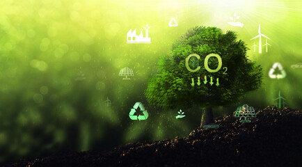 Clean and friendly environment without carbon dioxide emissions.Reduce CO2 emission...