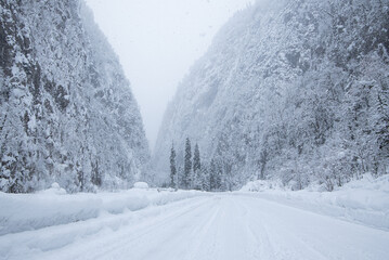 snow-covered mountain forest road. Winter time