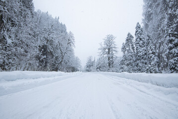 snow-covered mountain forest road. Winter time