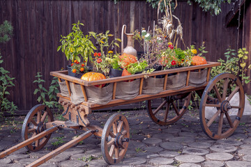 Fototapeta na wymiar Wooden cart with pumpkins and other vegetables. Thanksgiving decor.