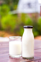 Glass and bottle of fresh milk on wooden 
table with green meadow and mornig light background.