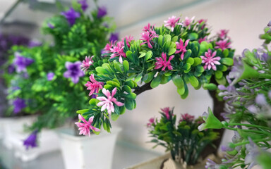 Beautiful and colorful flowers as background.