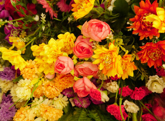 Beautiful and colorful flowers as background.