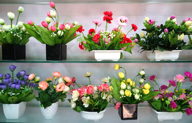 Beautiful and colorful flowers are arranged in a row.
