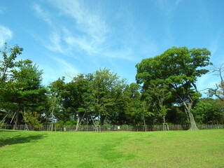 戸定邸庭園を臨む戸定が丘歴史公園風景