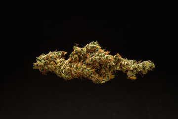 Dry cannabis buds flowers on a black background