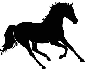 Stallion silhouette illustration on white background