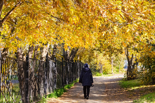 Senior Fit Woman Black Hat And Jacket Walking Through Park Forest Alley Fall Tunnel, Rear View