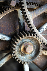 Rusty large gears from old mechanism