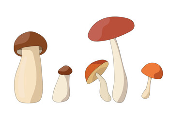 Autumn mushroom paintings